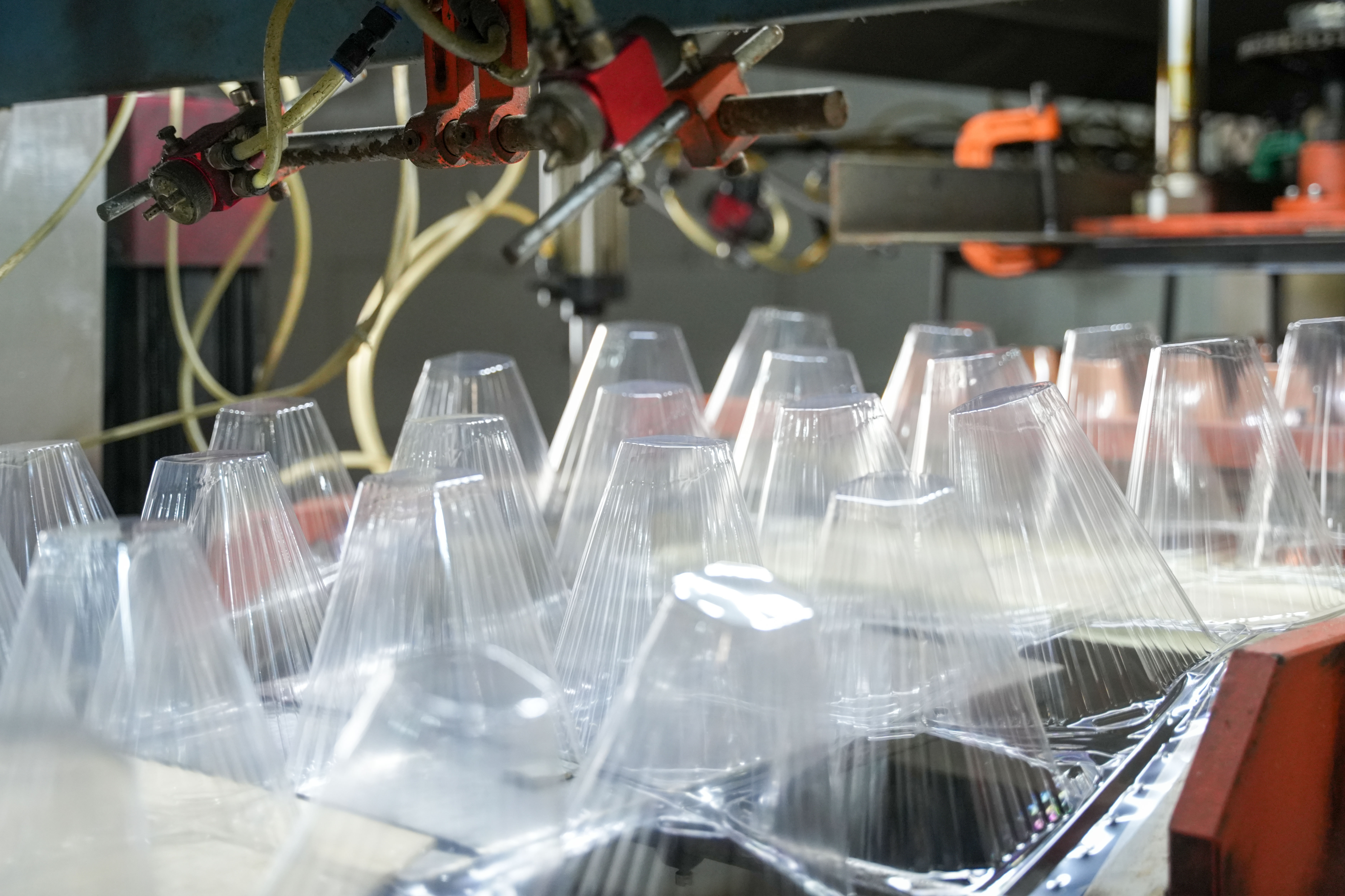 Kuinka kertakäyttöinen muovinen taimensuojus suojaa taimia tuholaisilta, hyönteisiltä ja pieneläimiltä?